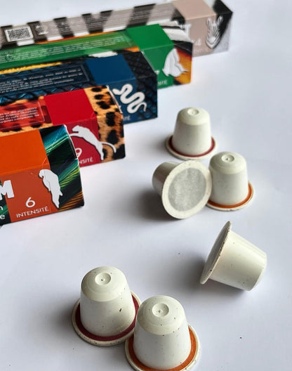 café de spécialité _ torréfaction artisanale en Corse _ capsules de café compostables compatibles Nespresso _ Café en grains - café moulu _ Café Heirloom Ethiopie