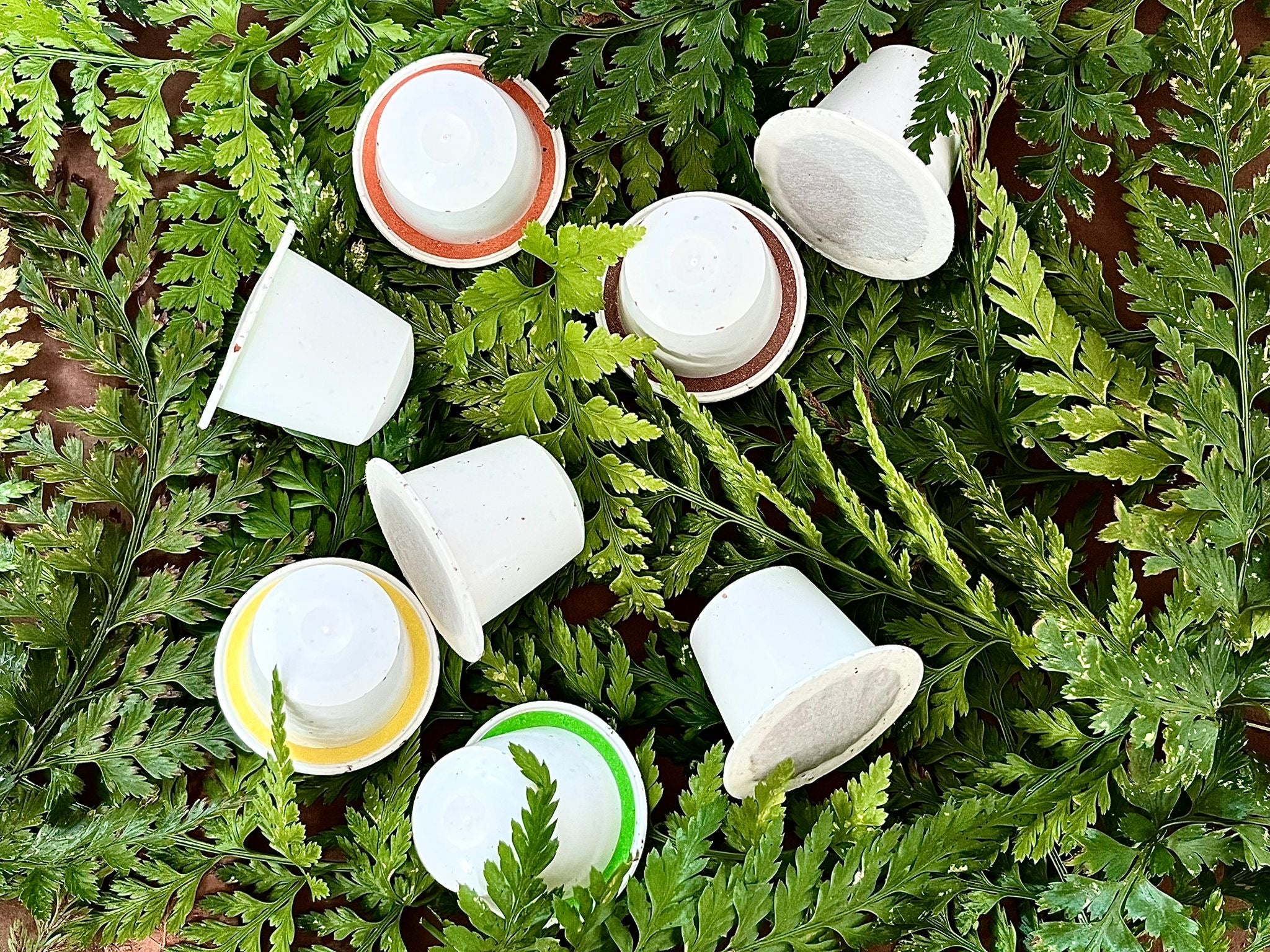 café de spécialité _ torréfaction artisanale en Corse _ capsules de café compostables compatibles Nespresso _ Café en grains - café moulu _ Café bio du Pérou