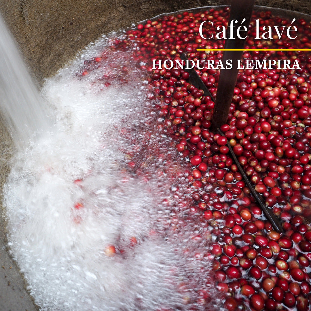 Café Rosco - Torréfacteur artisanal en  Corse - café de spécialité - Assemblage signature Espresso - blend café du Bresil, café d'Ethiopie, café Honduras, café d'Inde 
