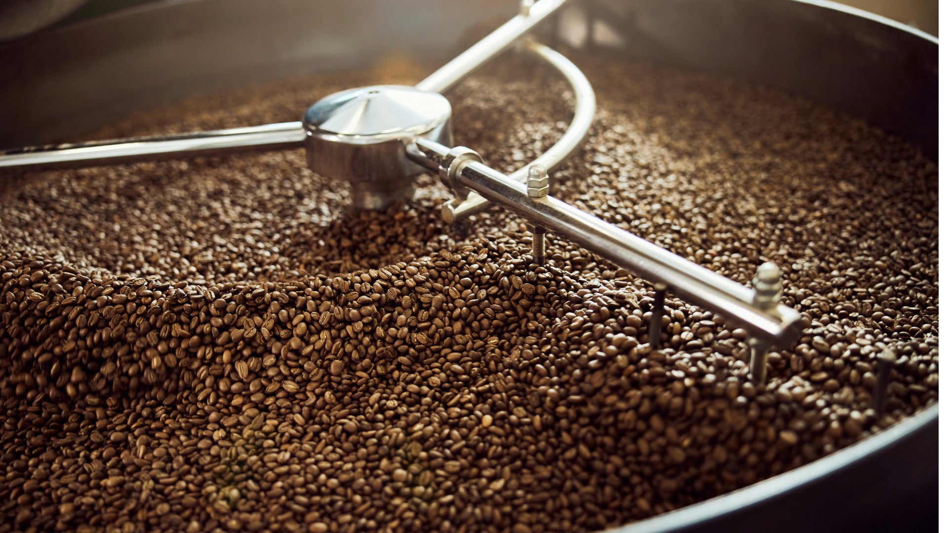 Café Rosco - Torréfacteur artisanal en  Corse - café de spécialité - café torréfié - torréfacteur responsable